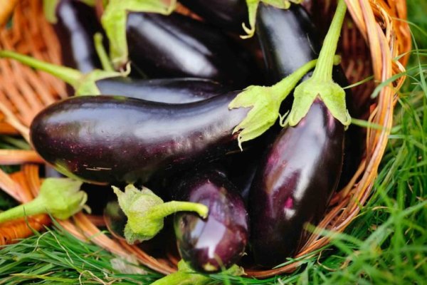 Баклажаны 1кг