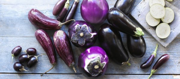 Баклажан Ажур f1