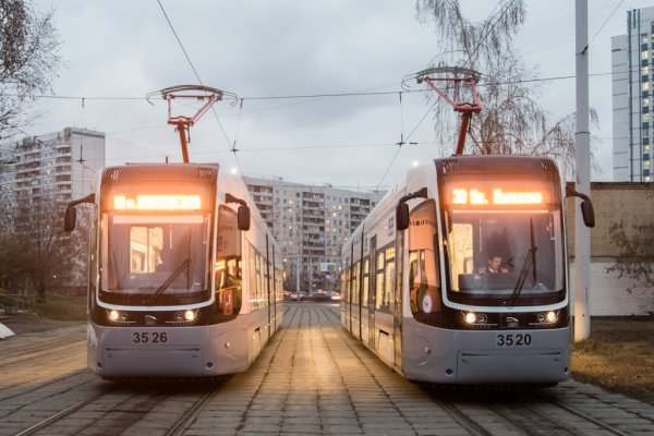 71 931 М Витязь Москва
