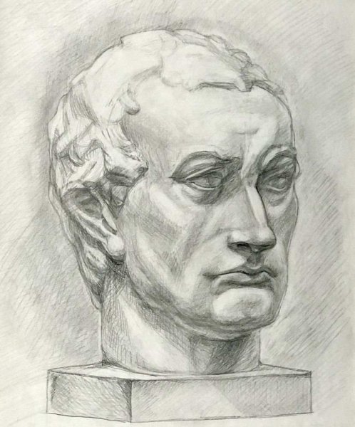 Гипсовая голова Гаттамелаты Донателло рисунок