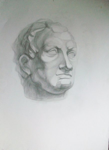 Гаттамелата гипсовая голова 3д