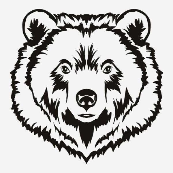 Голова медведя черно белая