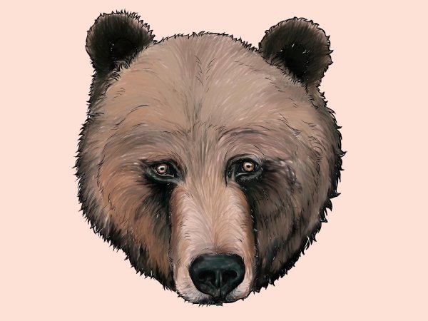 Медведь Гризли