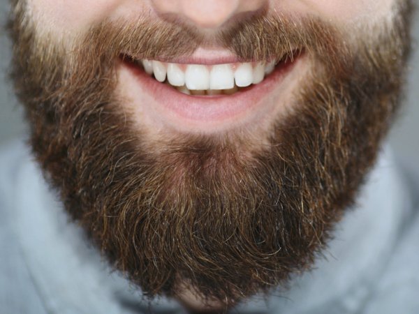 Коричневая борода