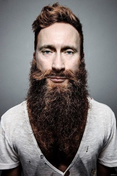 Борода Верди