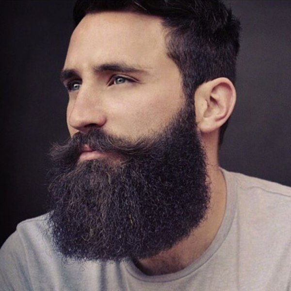 Дизайнерская борода
