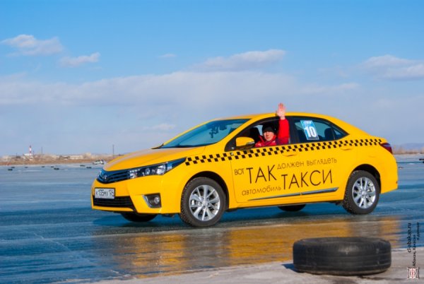 Такса в машине