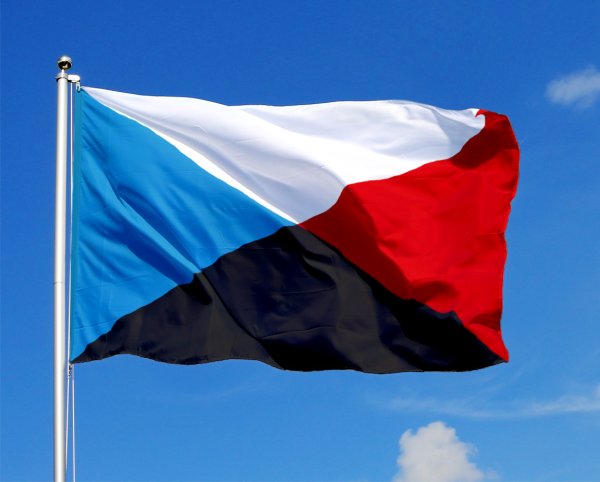 Флаг России Лебедев