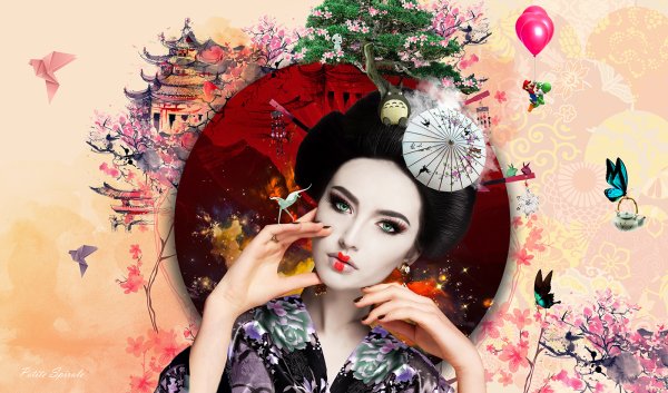 Гейша перевёртыш Япония