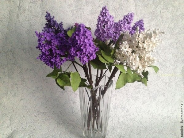 Весна цветы сирень