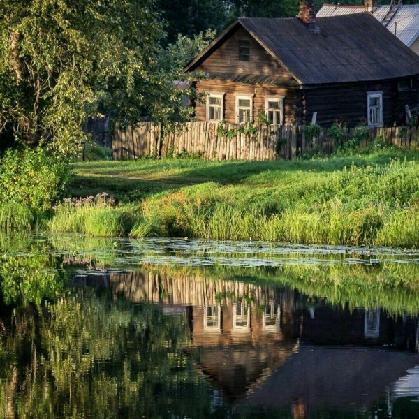Лето в деревне