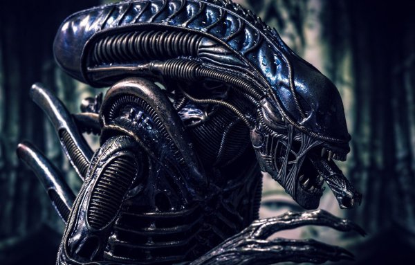 Alien Ксеноморф Xenomorph