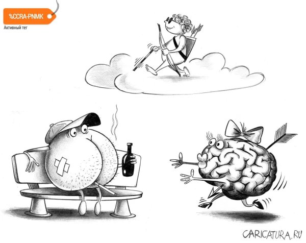 Корсун карикатуры