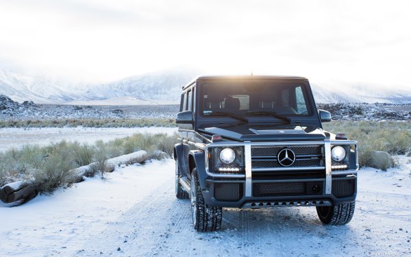 Mercedes Benz g65 2018