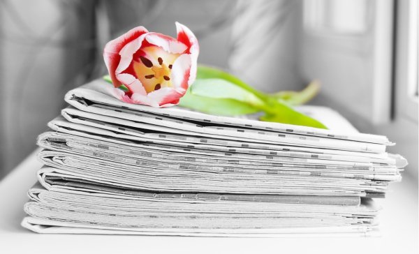 Фон с цветами для газеты