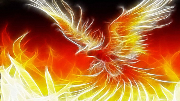 Fenix Rising