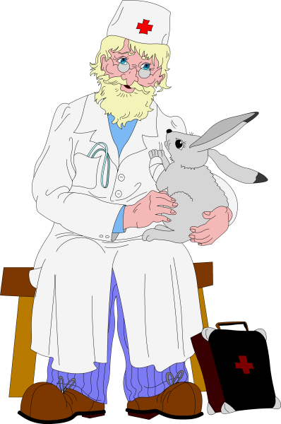 Доктор Айболит Айболит