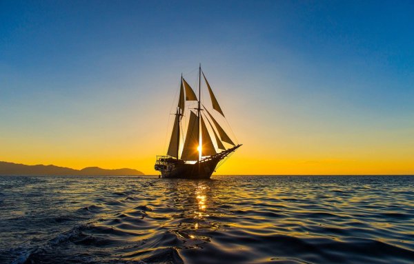 Royal Clipper регата