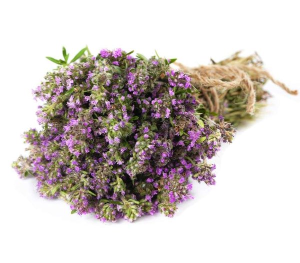 Тимьян ползучий (Thymus serpyllum)