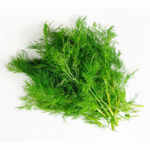 Укроп Севен