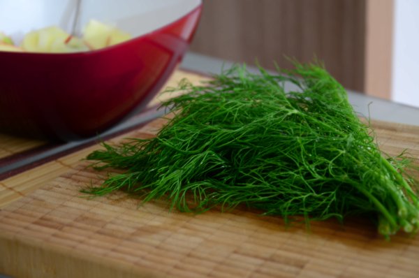 Пучок укропа