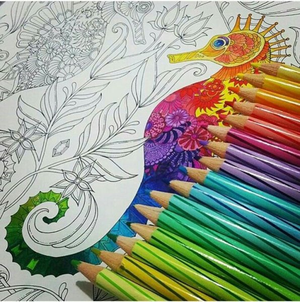 Раскрашиваем цветными карандашами