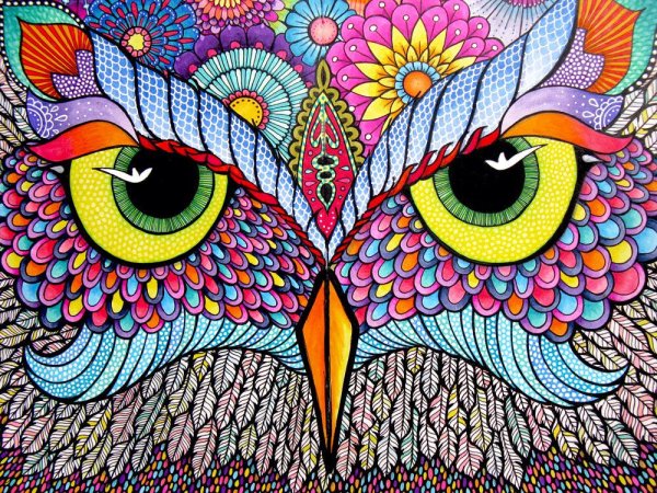 Радужный Лев картина по номерам