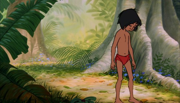 Джунгли Киплинга