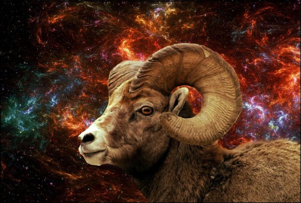 Красивый знак овна