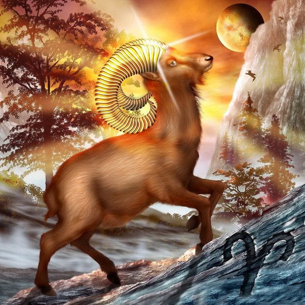 Чиро Маркетти знаки зодиака Овен