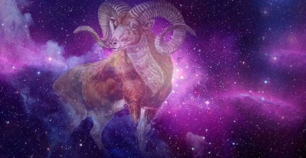 Шикарный Овен