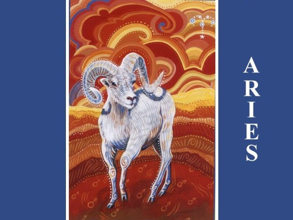 Цветной Овен