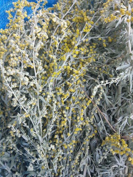 Емшан Полынь