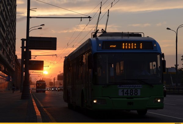 Вечерний троллейбус