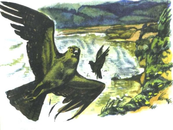 Астафьев Виктор Петрович Стрижонок скрип