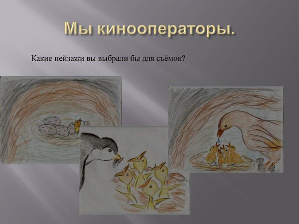 Стрижонок скрип рисунок карандашом