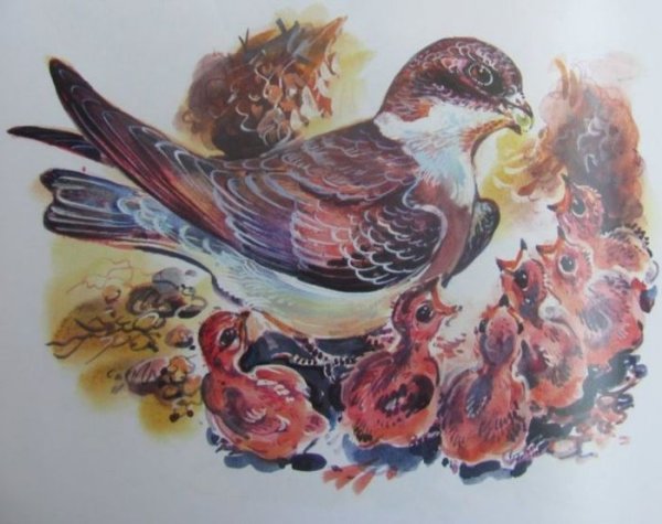 Астафьев в. "Стрижонок скрип"