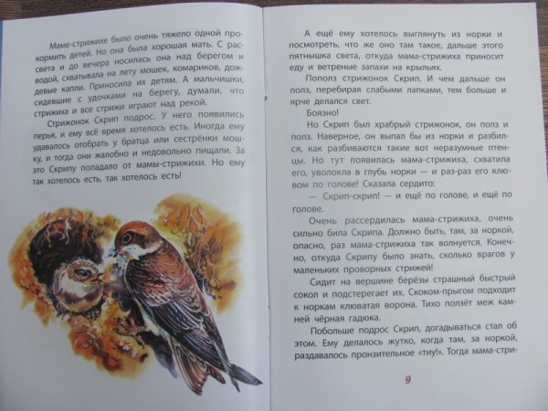 Рассказ Астафьева Стрижонок скрип