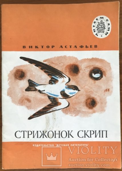 Стриж стрижиха Стрижонок