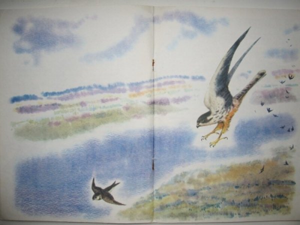 Мамин Сибиряк Стрижонок скрип