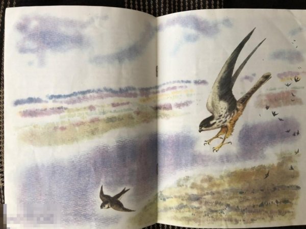 Астафьев Стрижонок