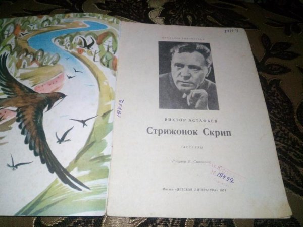 Кроссворд по Стрижонок скрип