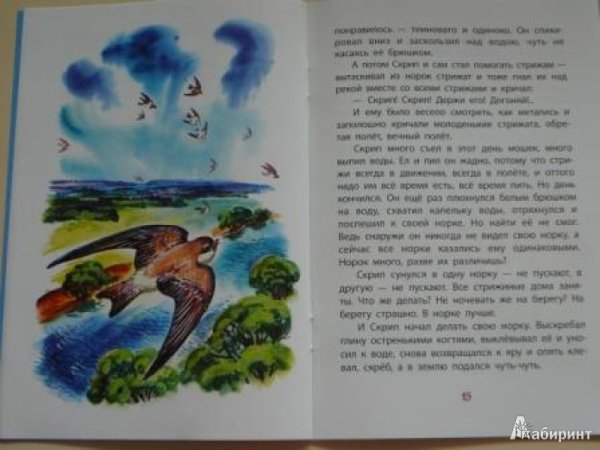 Виктор Астафьев Стрижонок скрип