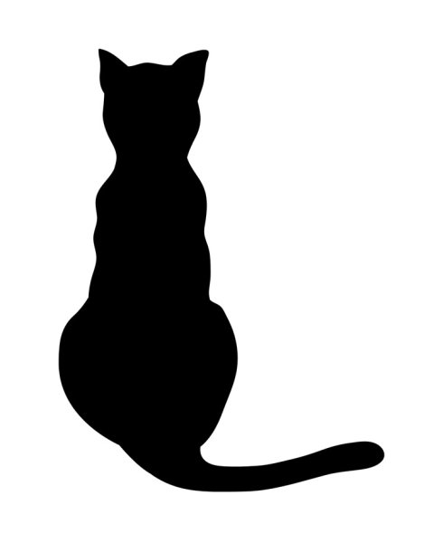 Красивый силуэт кошки