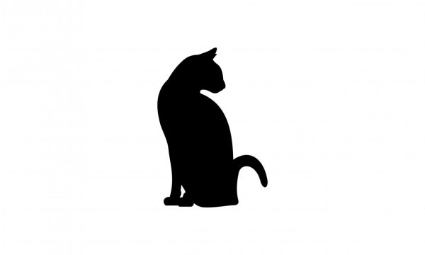 Черная кошка логотип