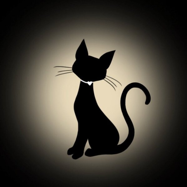 Чёрный кот