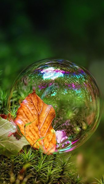 Необычные заставки