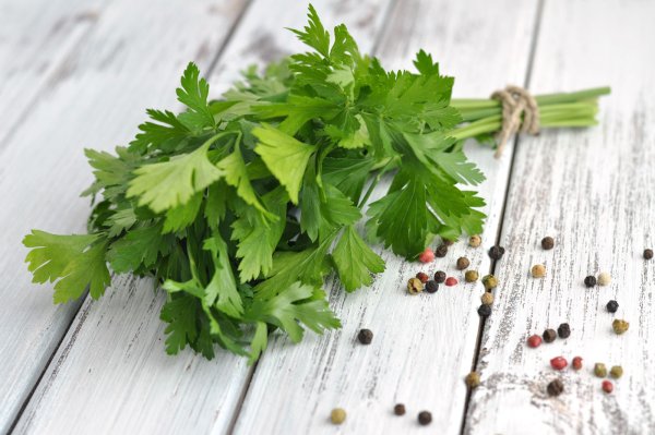 Петрушка parsley