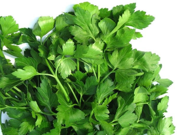 Петрушка parsley