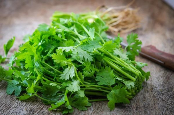 Петрушка parsley